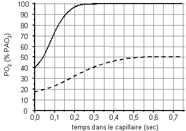 diffusion alvolo-capillaire